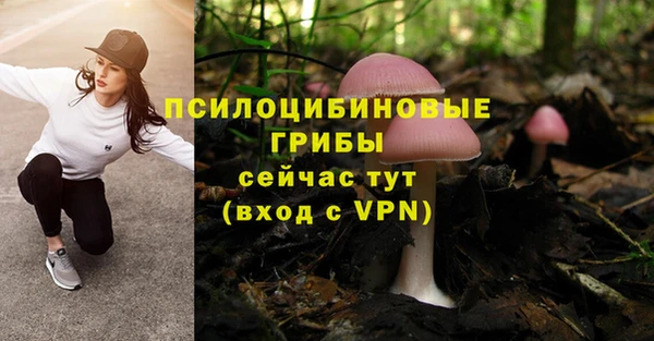 марихуана Баксан