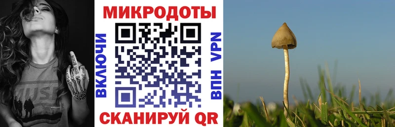 купить  сайты  Усть-Лабинск  Псилоцибиновые грибы мухоморы 